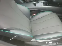 2023 BYD Dolphin 401km Knight — фото 25
