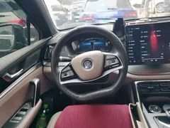 2024 BYD Tang DM-i PHEV 112KM Honor Edition Premium, чёрный — фото 11