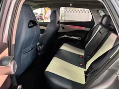 2023 BYD Yuan PLUS Champion 510km Excellence — фото 7