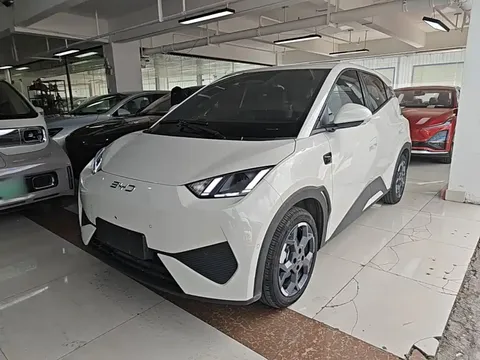 2025 BYD Seagull Smart Driving 305km Freedom