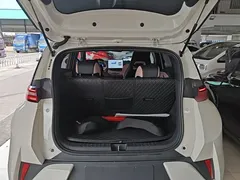 2025 BYD Seagull Smart Driving 305km Freedom, белый — фото 19