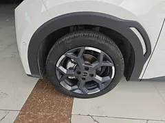 2025 BYD Seagull Smart Driving 305km Freedom, белый — фото 23