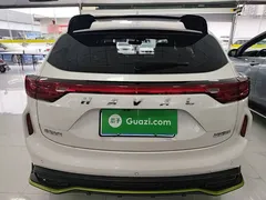 2022 Haval Chitu 1.5T, белый — фото 4