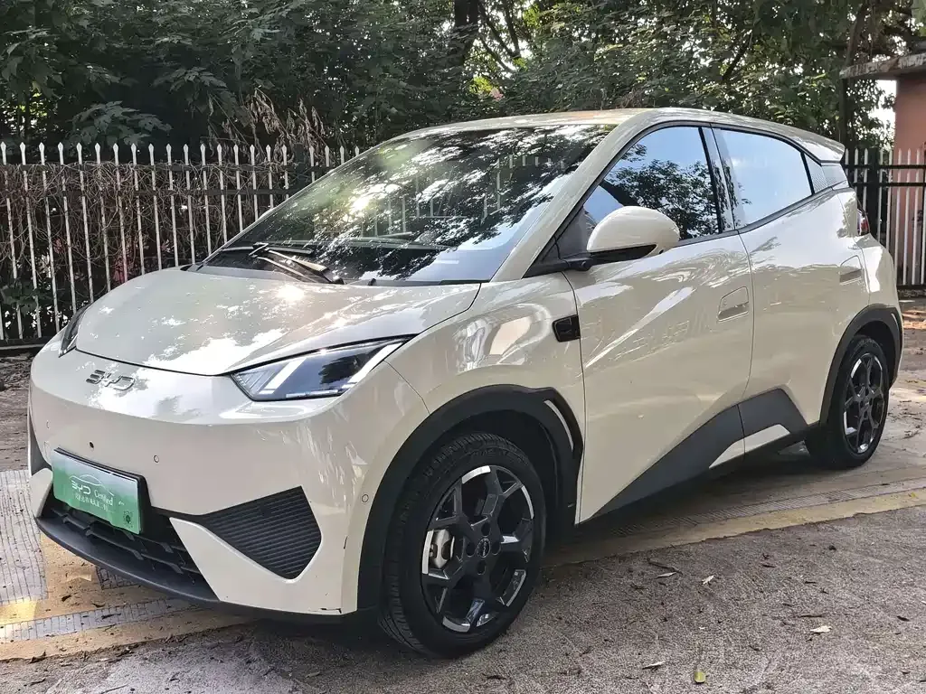 2025 BYD Seagull 305km Freedom