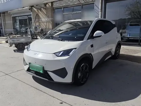 2025 BYD Seagull Smart Driving 305km Freedom