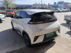 2025 BYD Seagull Smart Driving 305km Freedom, белый — фото 5