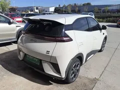 2025 BYD Seagull Smart Driving 305km Freedom, белый — фото 7