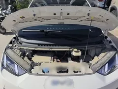 2025 BYD Seagull Smart Driving 305km Freedom, белый — фото 20