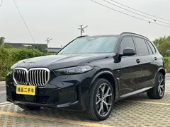 2023 BMW X5 30Li Premium M Sport Package, чёрный — фото 1