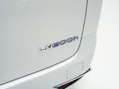 2020 Lexus LM 300h 4, белый — фото 8