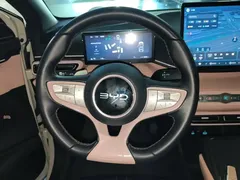 2025 BYD Seagull Smart Driving 305km Freedom, белый — фото 11