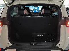 2025 BYD Seagull Smart Driving 305km Freedom, белый — фото 19