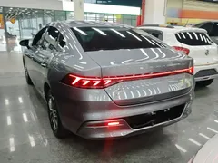2023 BYD Qin PLUS Champion EV 420km — фото 5