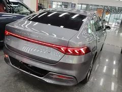 2023 BYD Qin PLUS Champion EV 420km — фото 7
