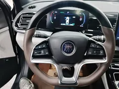 2023 BYD Qin PLUS Champion EV 420km — фото 11
