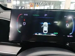 2023 BYD Qin PLUS Champion EV 420km — фото 12