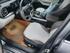 2023 BYD Qin PLUS Champion EV 420km — фото 15