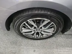 2023 BYD Qin PLUS Champion EV 420km — фото 23