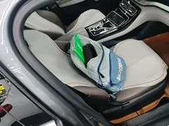 2023 BYD Qin PLUS Champion EV 420km — фото 25