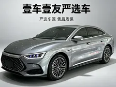 2022 BYD Han PHEV 121KM Premium — фото 1