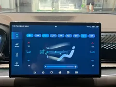 2022 BYD Han PHEV 121KM Premium — фото 10