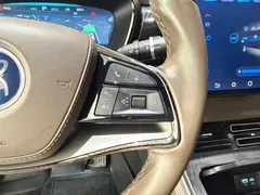 2022 BYD Han PHEV 121KM Premium — фото 17