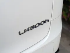 2020 Lexus LM 300h 4, белый — фото 8