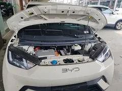 2025 BYD Seagull 305km Freedom, белый — фото 20