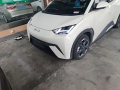 2025 BYD Seagull 305km Freedom, белый — фото 24
