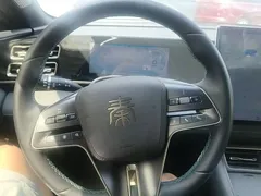 2024 BYD Qin L PHEV 120KM Excellence — фото 11