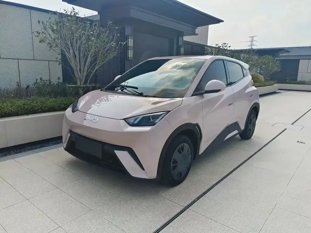 2024 BYD Seagull Honor 305km Vitality