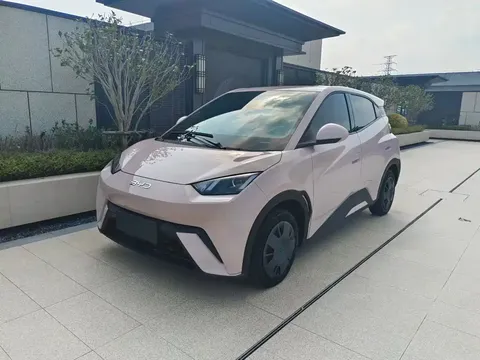 2024 BYD Seagull Honor 305km Vitality