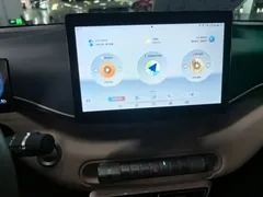 2024 BYD Seagull Honor 305km Vitality — фото 13