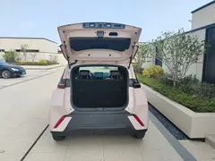 2024 BYD Seagull Honor 305km Vitality — фото 19