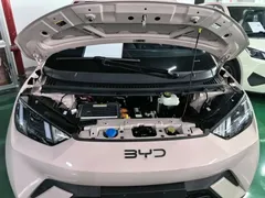 2024 BYD Seagull Honor 305km Vitality — фото 20