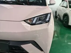 2024 BYD Seagull Honor 305km Vitality — фото 24