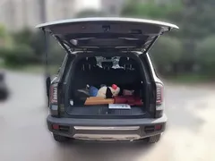 2022 Haval Dargo 2.0T DCT 4WD Chinese Rural Dog Edition, зелёный — фото 10
