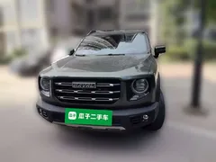 2022 Haval Dargo 2.0T DCT 4WD Chinese Rural Dog Edition, зелёный — фото 23