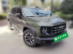 2022 Haval Dargo 2.0T DCT 4WD Chinese Rural Dog Edition, зелёный — фото 24