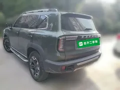 2022 Haval Dargo 2.0T DCT 4WD Chinese Rural Dog Edition, зелёный — фото 25