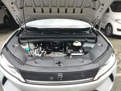 2024 BYD Yuan UP 401km Leading, белый — фото 20