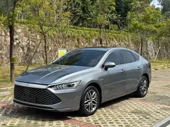 2023 BYD Qin PLUS Champion DM-i PHEV 120km — фото 1