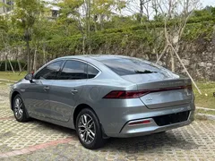 2023 BYD Qin PLUS Champion DM-i PHEV 120km — фото 9