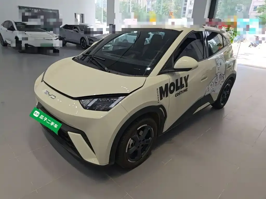 2023 BYD Seagull Flying