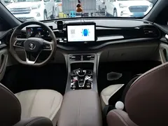 2024 BYD Qin PLUS Honor DM-i PHEV 55km Leading — фото 10
