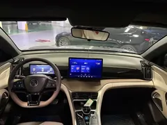 2024 BYD Song Pro Glory Edition DM-i PHEV 110km — фото 7