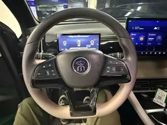 2024 BYD Song Pro Glory Edition DM-i PHEV 110km — фото 10
