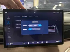 2024 BYD Song Pro Glory Edition DM-i PHEV 110km — фото 14