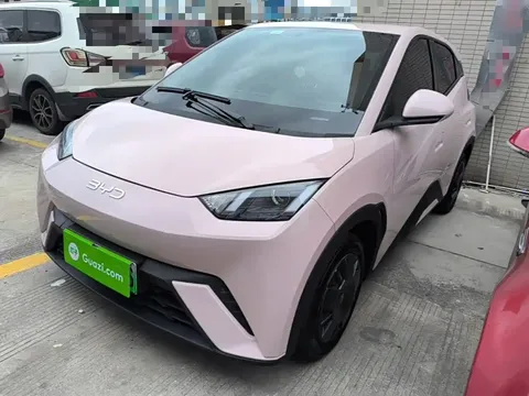 2024 BYD Seagull Honor 305km Vitality