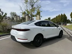 2025 BYD Qin PLUS EV Smart Driving 420km Leading, белый — фото 5